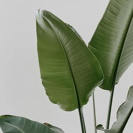 Apartment Skyloft Salzburg – Zwischen Stadt, Bergen&Seen Koppl