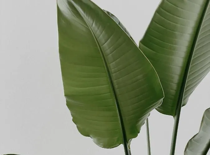 아파트 Skyloft Salzburg - Zwischen Stadt, Bergen & Seen 코플